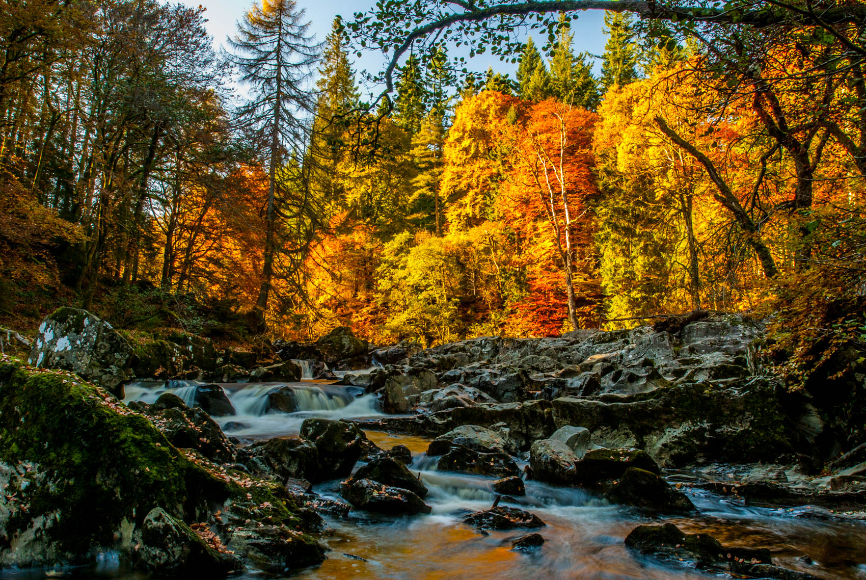 tour guide course scotland